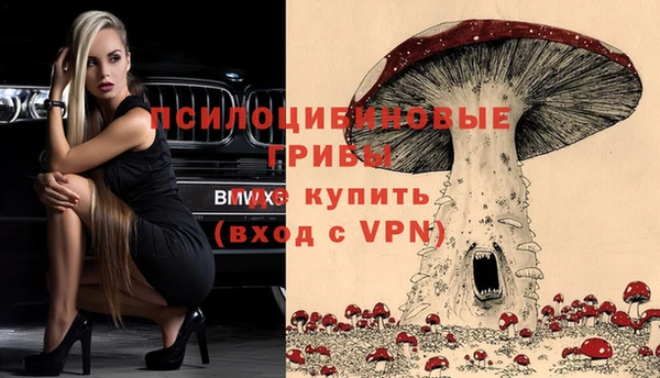 дурь Алзамай