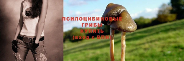 дурь Алзамай